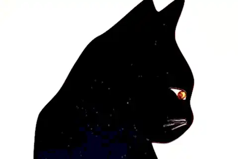 SİYAH KEDİ DEKORATİF SARKAÇLI DUVAR SAATİ