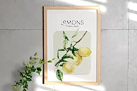 OLIVES&LEMONS İKİLİ ÇERÇEVELİ TABLO