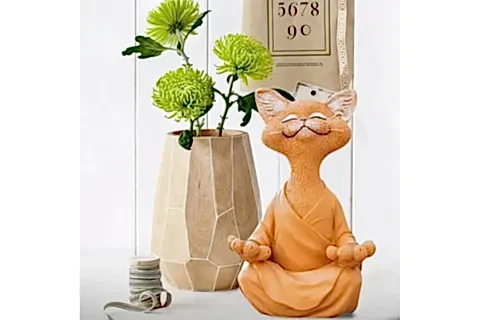 YOGA YAPAN KEDİ BİBLO, TURUNCU