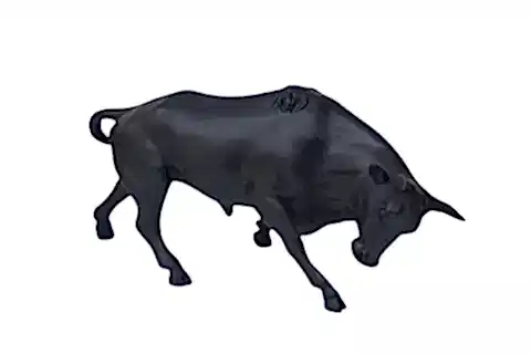 BOĞA BİBLO SİYAH