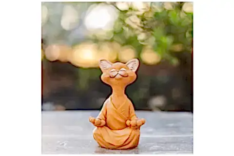 YOGA YAPAN KEDİ BİBLO, TURUNCU
